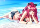 BUY NEW shinkyoku soukai polyphonica - 150903 Premium Anime Print Poster